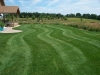 Crazy Mowing Lines