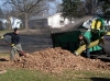 Fall Clean Up