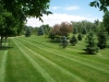 lawn-mowing-lakeland-mn