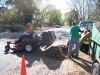 Leaf Clean Up West Lakeland, MN 